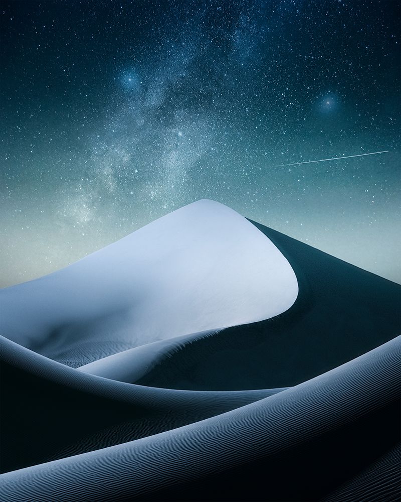 Zarrin Night art print by Hamed Qane for $57.95 CAD