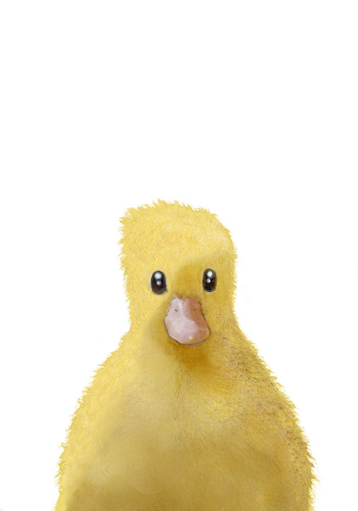 Duck art print by 1x Studio II for $57.95 CAD