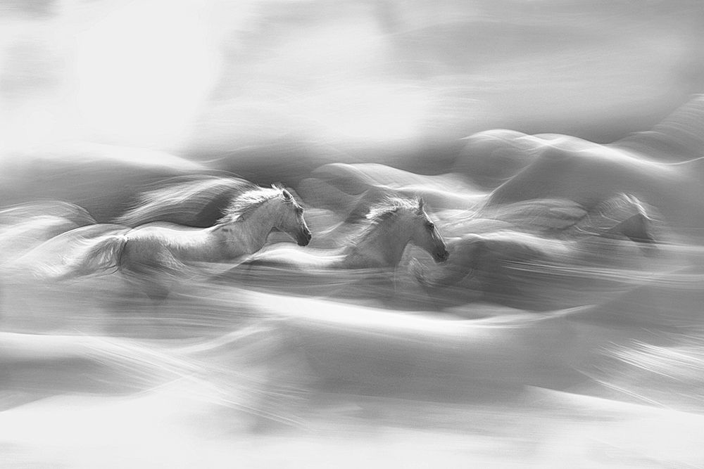 Morning Dream art print by Milan Malovrh for $57.95 CAD