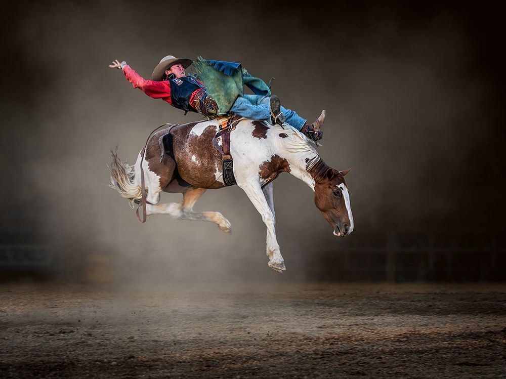 Buckjumping art print by Frank Ma for $57.95 CAD