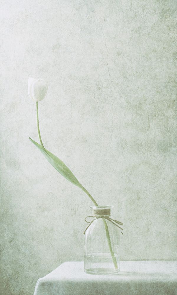 Ephemeral White (2) art print by Delphine Devos for $57.95 CAD