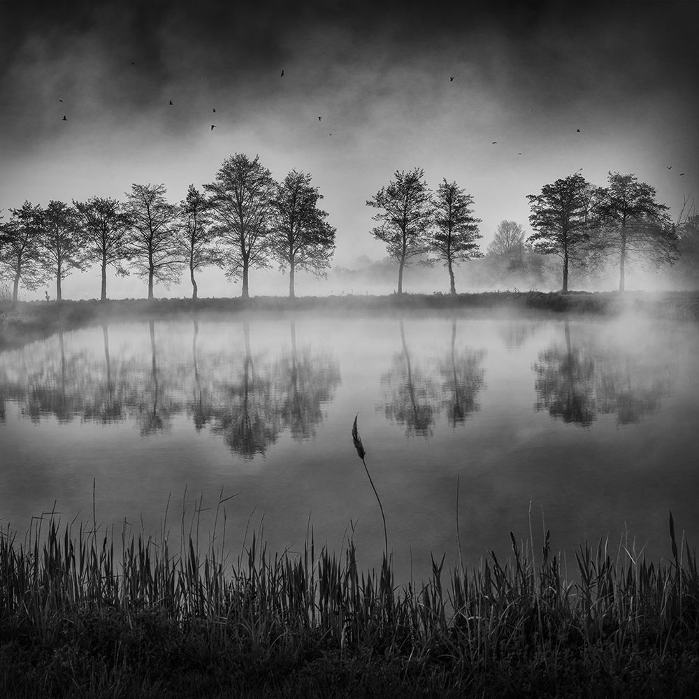 Morning by the pond art print by Tomas Frolec for $57.95 CAD