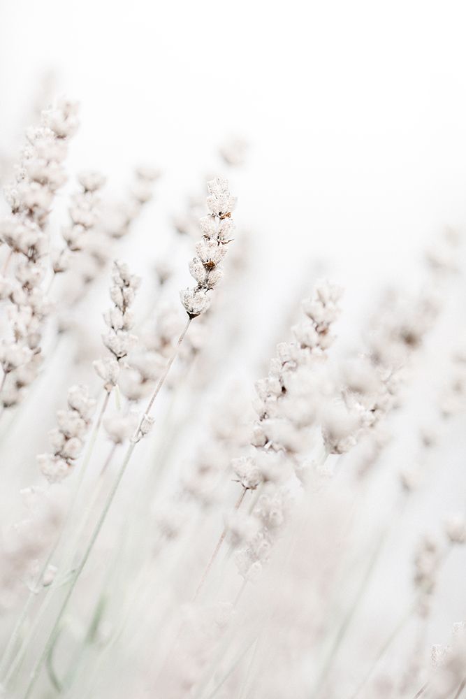 Grass straws art print by 1x Studio III for $57.95 CAD