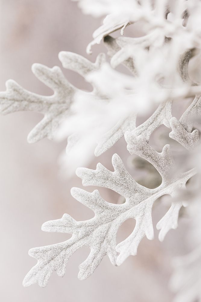 Silver Leaves No 2 art print by 1x Studio III for $57.95 CAD