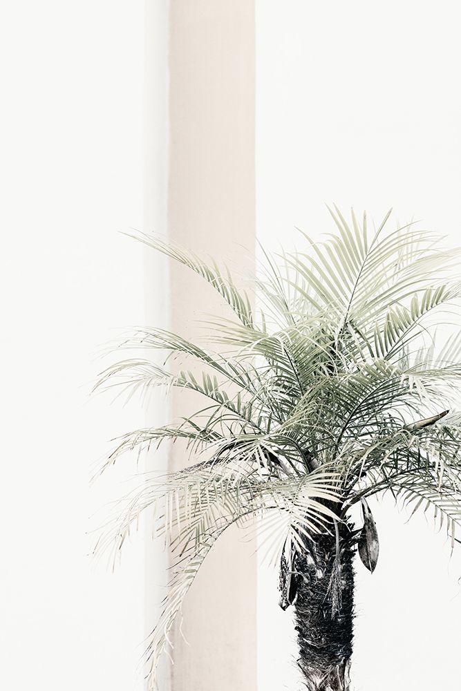 Palm tree art print by 1x Studio III for $57.95 CAD