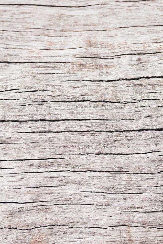 Wood close up art print by 1x Studio III for $57.95 CAD