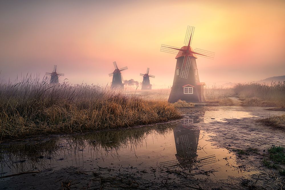 Foggy Morning art print by Tiger Seo for $57.95 CAD