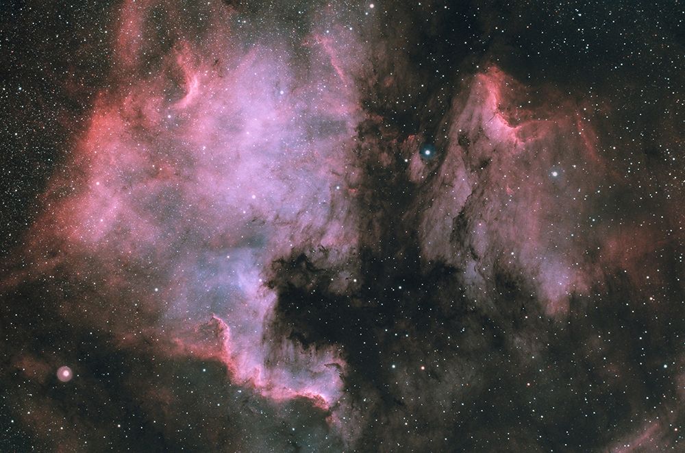 North America And Pelican In Cygnus art print by Sismo Astroberry for $57.95 CAD