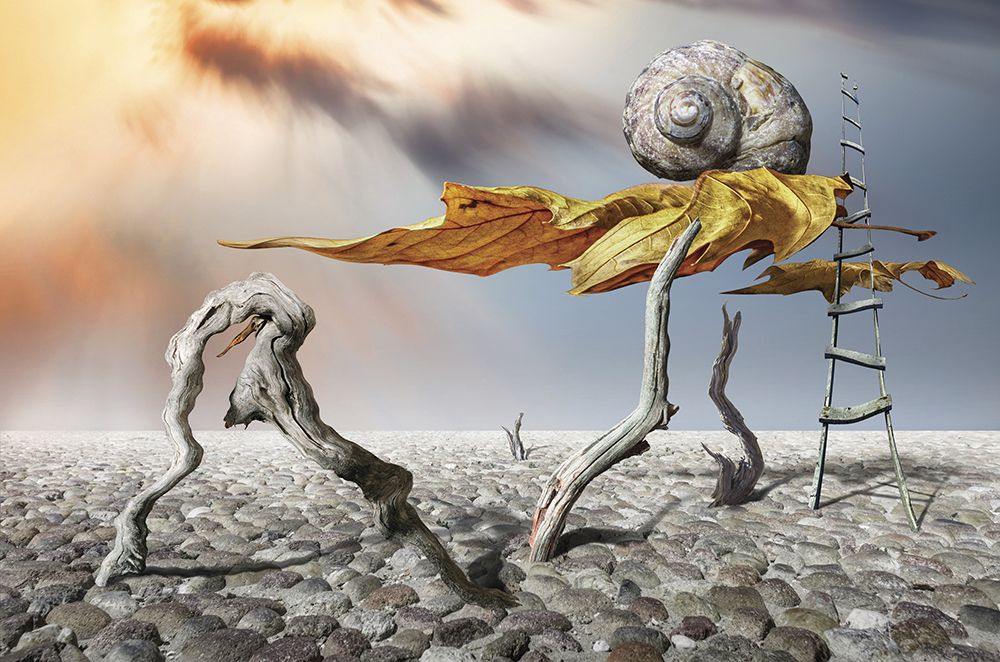 Flying art print by Alexander Alexandrov for $57.95 CAD