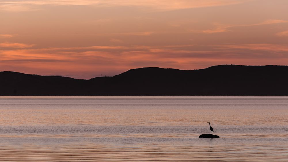 A Peaceful Wait art print by Patrick Dessureault for $57.95 CAD