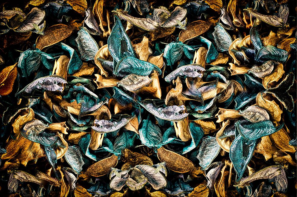 Les Feuilles Mortes art print by Raffaele Corte for $57.95 CAD
