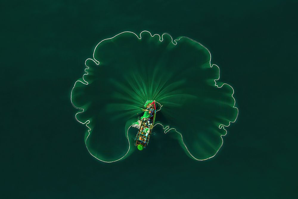 Ocean Lotus Leaf art print by Alex Cao for $57.95 CAD