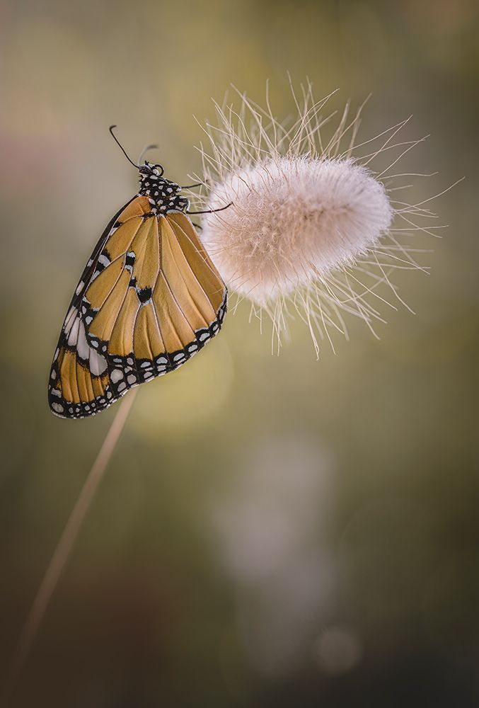 Waiting art print by Rina Barbieri for $57.95 CAD