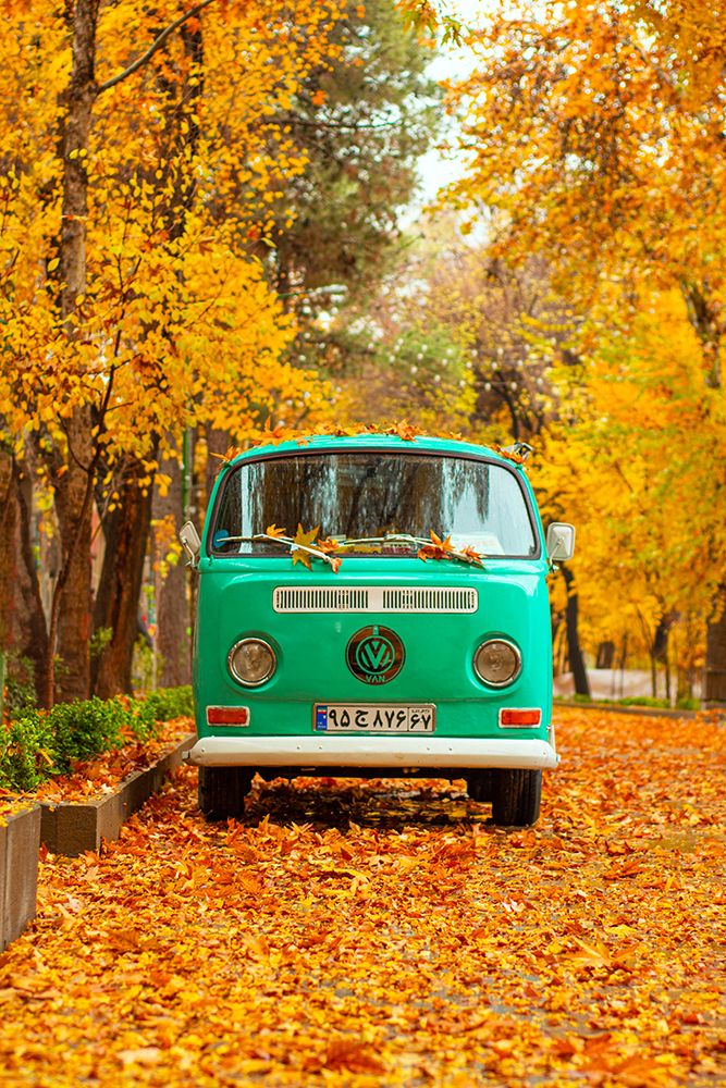 Silent Autumn art print by keivan.khatami for $57.95 CAD