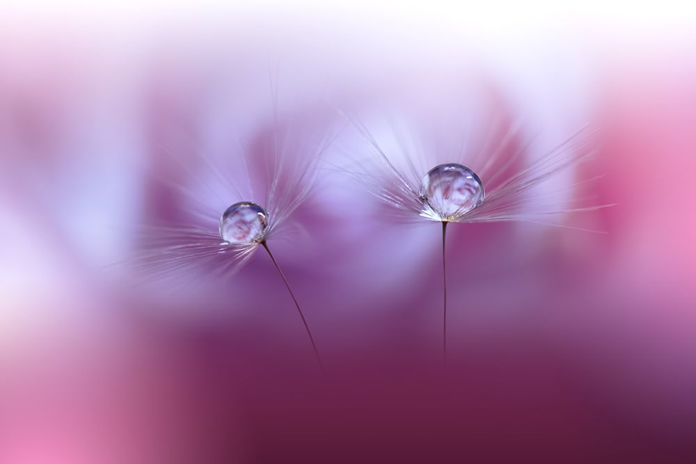 Two Worlds...II art print by Juliana Nan for $57.95 CAD