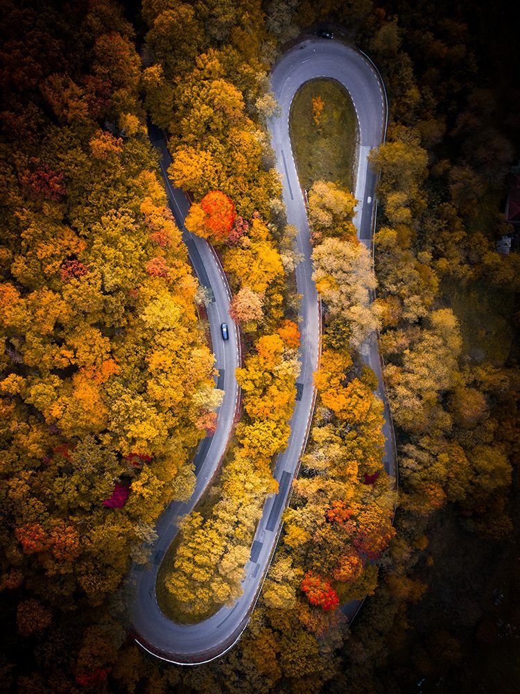 Fall vibes art print by Razvan for $57.95 CAD