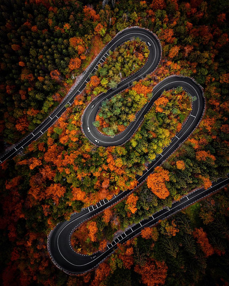 Curves art print by Razvan for $57.95 CAD