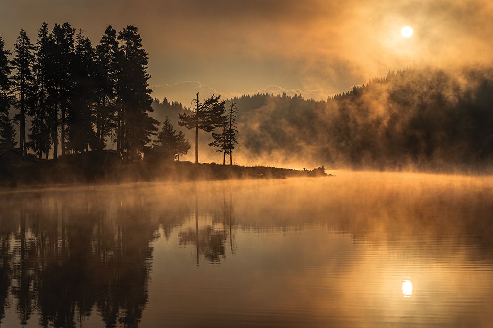 Sunny Morning art print by Alexander Alexandrov for $57.95 CAD
