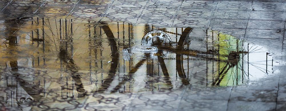 After The Rain art print by Ugur Erkmen for $57.95 CAD