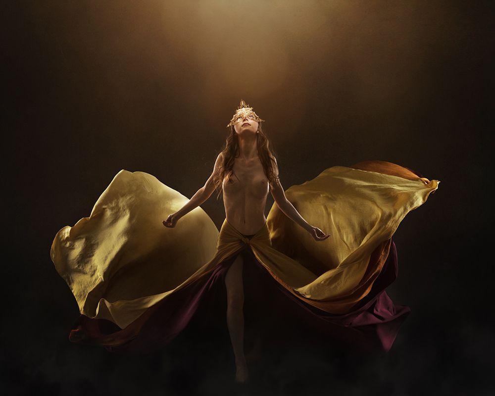 Phoenix art print by Laura Benvenuti for $57.95 CAD