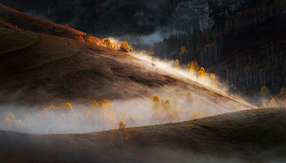 Misty mornings art print by Stefan Hogea for $57.95 CAD