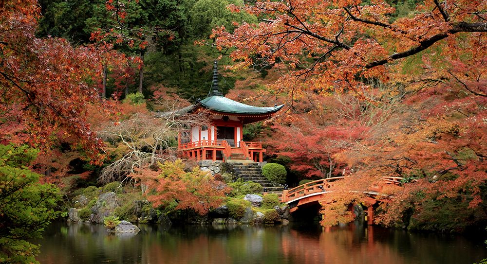Fall In Love With Kyoto art print by Misaki Saito for $57.95 CAD