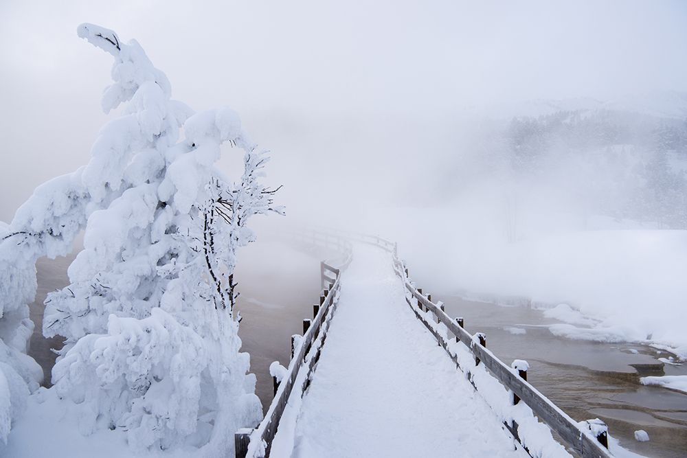 Frozen Walk art print by Shawn D. for $57.95 CAD