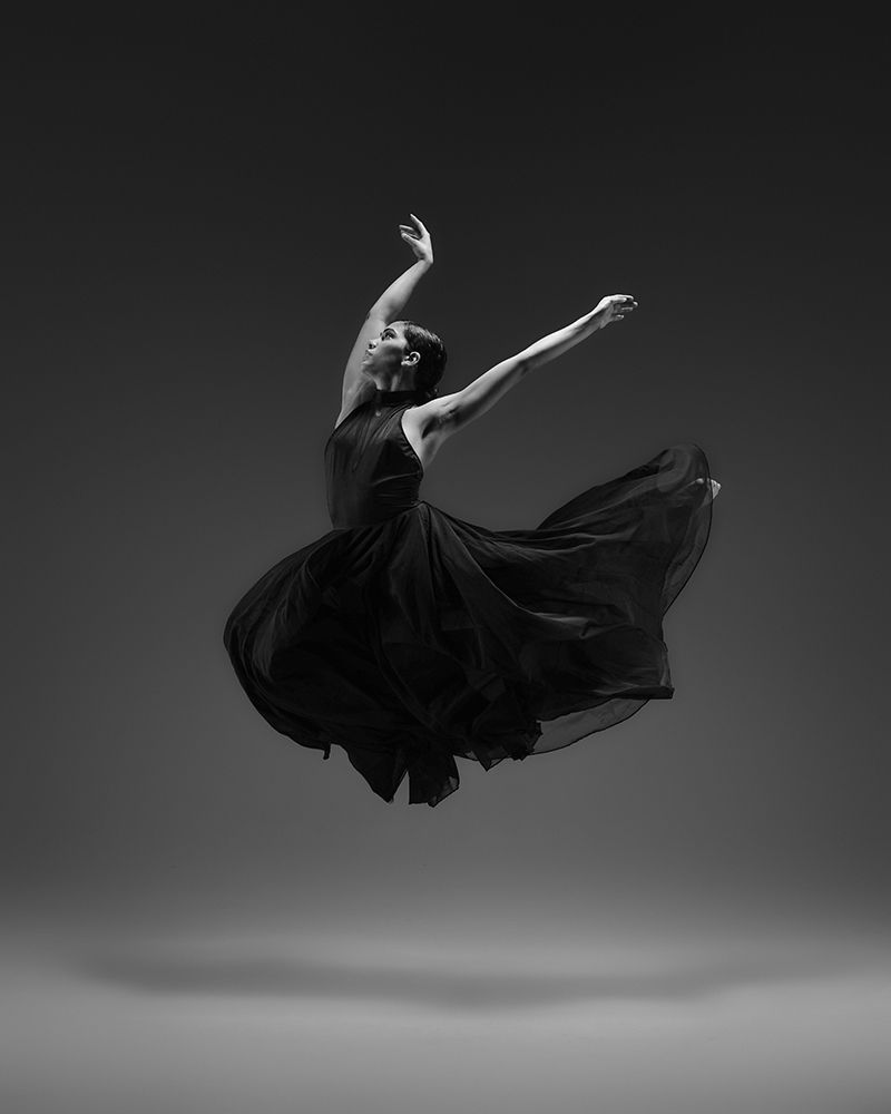 Flying art print by Rob Li for $57.95 CAD
