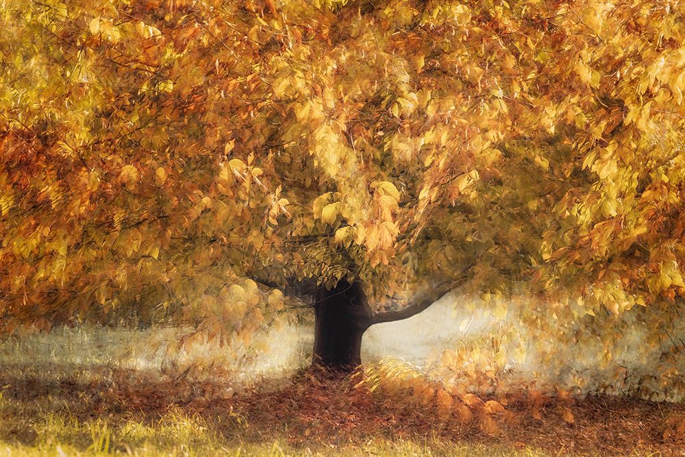 Gold Colors art print by Nel Talen for $57.95 CAD