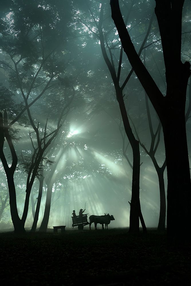 oxcart silhouette art print by Octavandy for $57.95 CAD