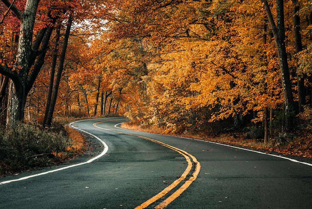 Road To Fall art print by Herbert Rong for $57.95 CAD