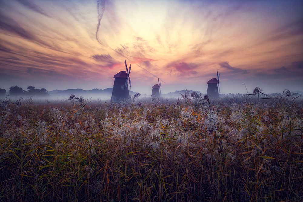 Morning Of Sorae art print by Tiger Seo for $57.95 CAD