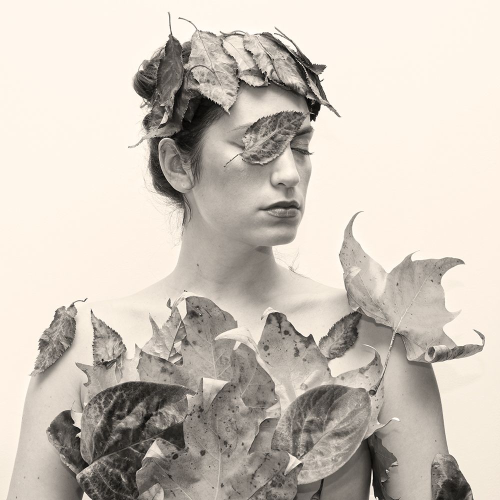 Autoportrait Leaves art print by Caroline Fischer for $57.95 CAD