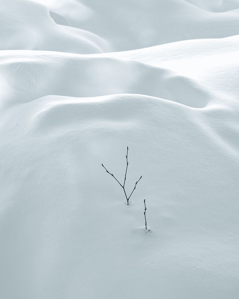 Minimalism art print by Miroslaw for $57.95 CAD