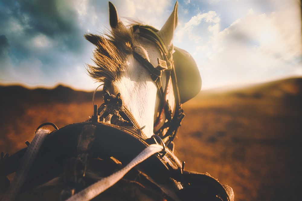 in the horizon art print by Mohamed Basiouny for $57.95 CAD