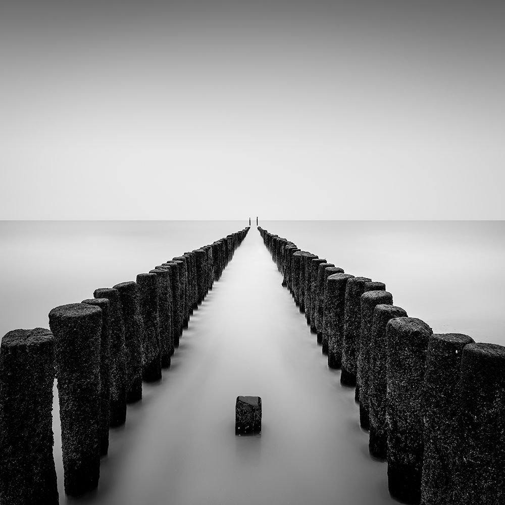 Still Standing art print by Christophe Staelens for $57.95 CAD