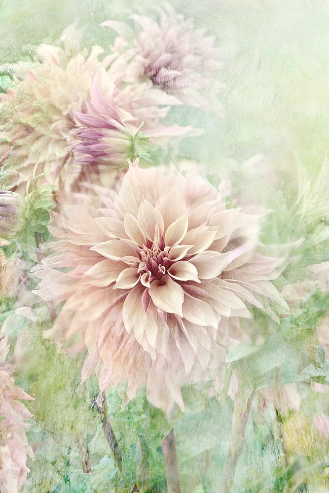 Romance art print by Jacky Parker for $57.95 CAD