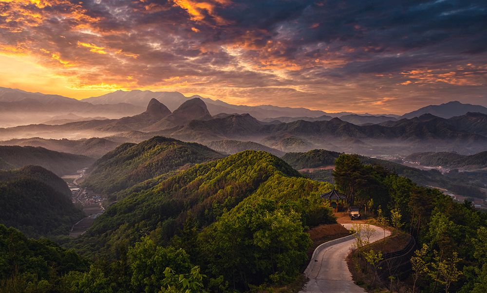 Open The Morning art print by Tiger Seo for $57.95 CAD