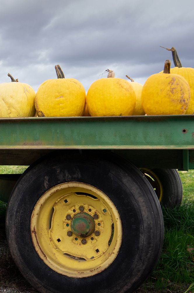 Driving Pumpkins art print by Linda Lou for $57.95 CAD