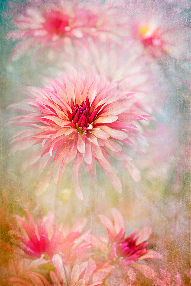 Chic art print by Jacky Parker for $57.95 CAD