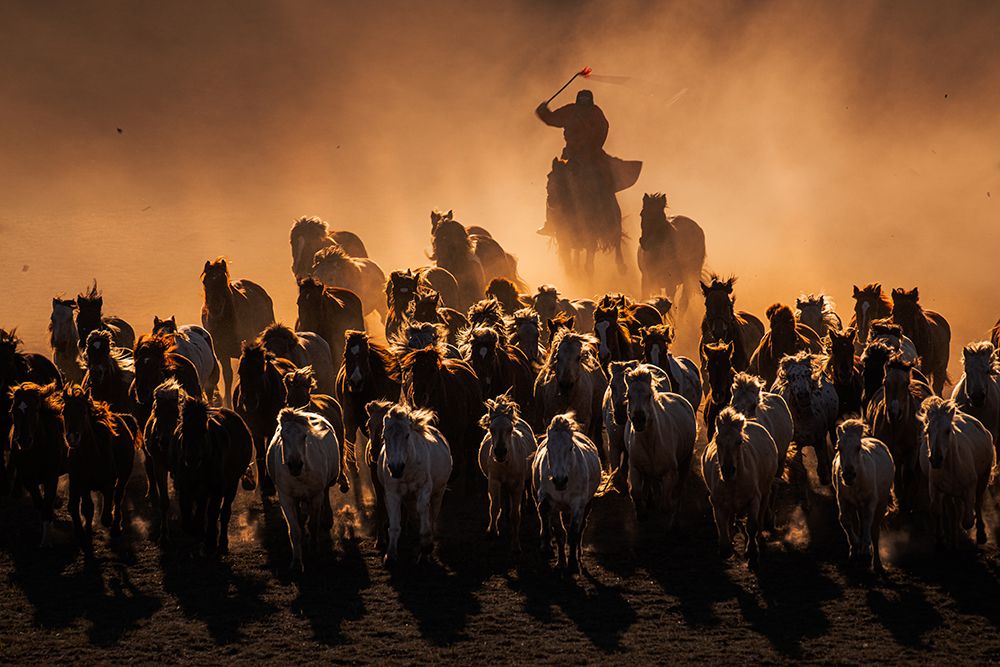 Ten Thousand Steeds Gallop art print by Yuhan Liao for $57.95 CAD