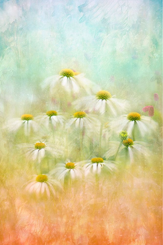 Subtle Summer art print by Jacky Parker for $57.95 CAD