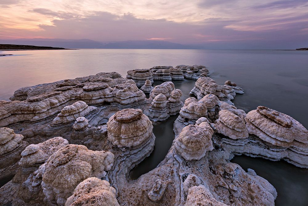 Salted Mushrooms art print by Bar Artzi for $57.95 CAD