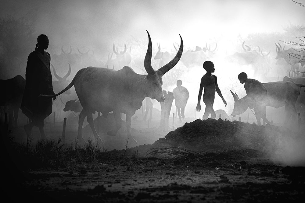 Mundari Cattle Camp art print by Svetlin Yosifov for $57.95 CAD