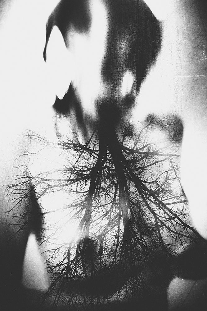 Untitled art print by Bogdan Bousca for $57.95 CAD