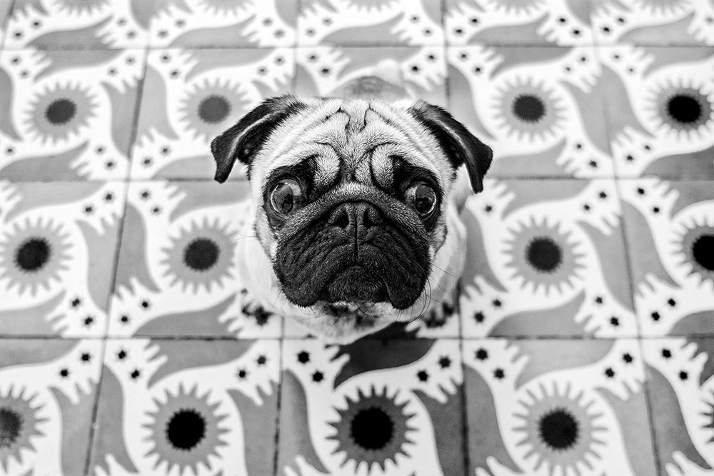 VudAo art print by Pablo Abreu for $57.95 CAD