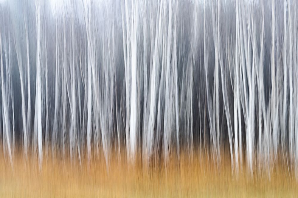 Autumn Mood art print by Ulrike Eisenmann for $57.95 CAD