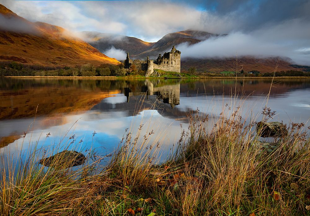 Still Waters art print by Daniel Springgay for $57.95 CAD