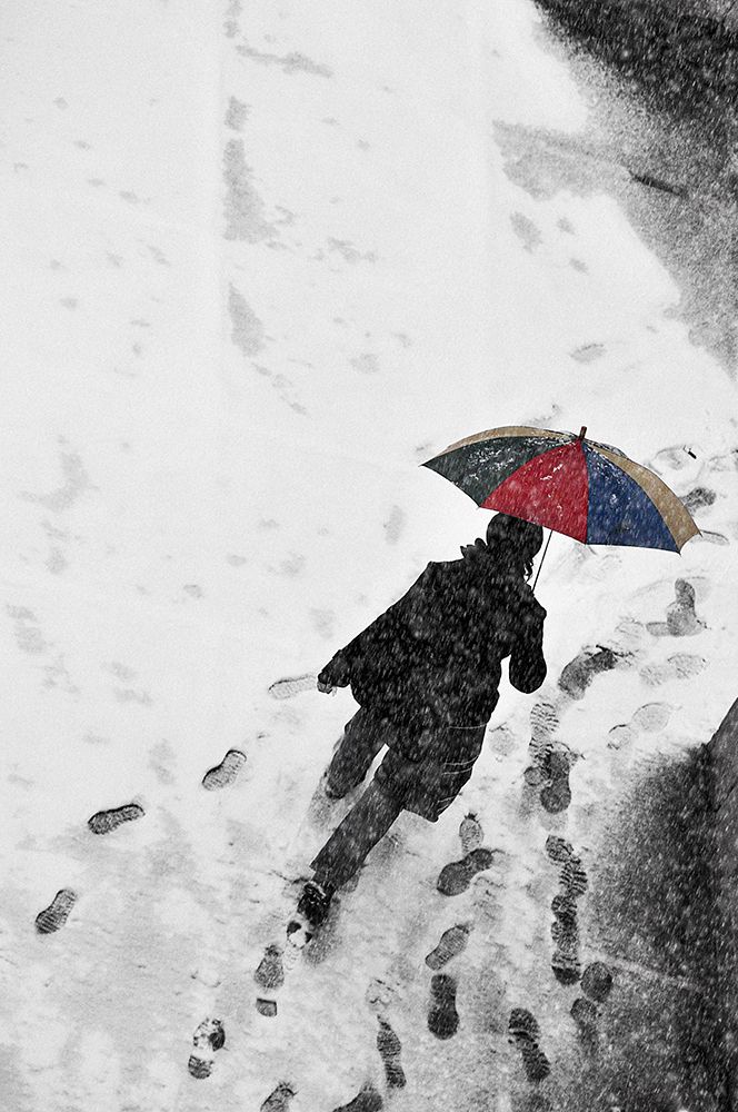 Winter Passengers art print by Nicoleta Gabor for $57.95 CAD