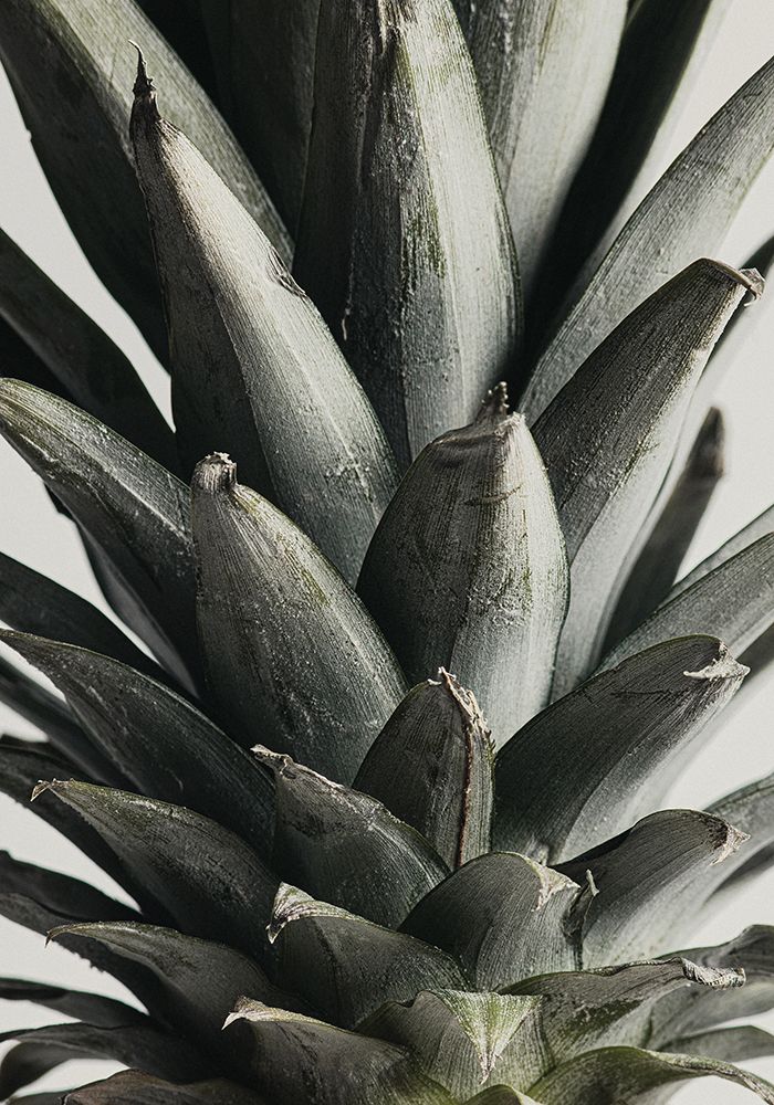 Pineapple close up art print by 1x Studio III for $57.95 CAD